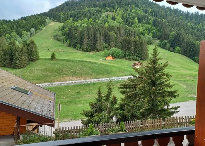 2 Pieces Avec Balcon, 4 Couchages Et Parking - Fr-1-573-68 Apartment *